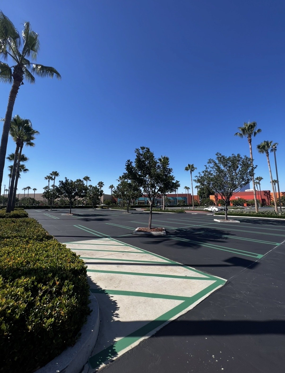 Wendy’s Irvine — project photograph 3 of 3